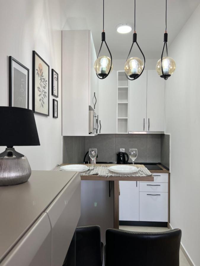 Apartment Charlie Private Parking Нови-Сад Экстерьер фото